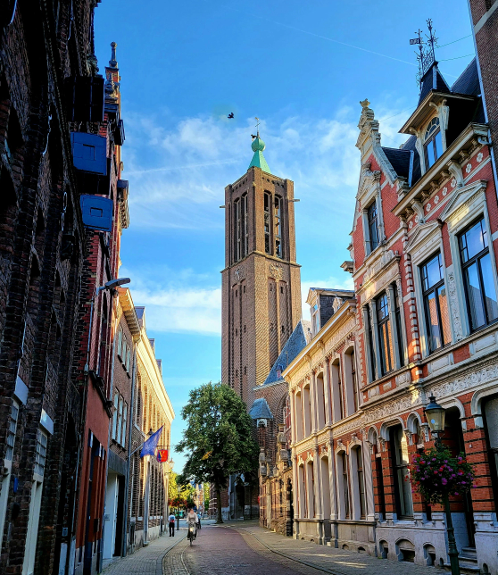 Nederlandse Vereniging